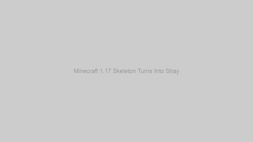 Minecraft 1.17 Skeleton Turns Into Stray